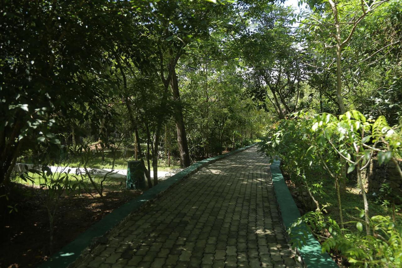 Laluna Ayurveda Resort Бентота Екстер'єр фото